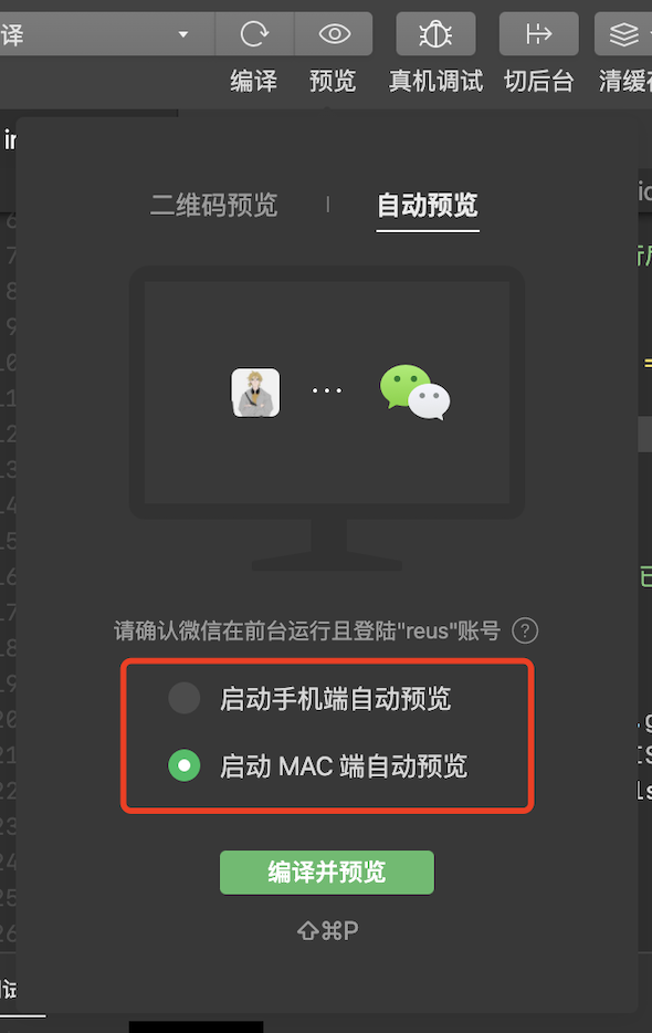 PC 端自动预览